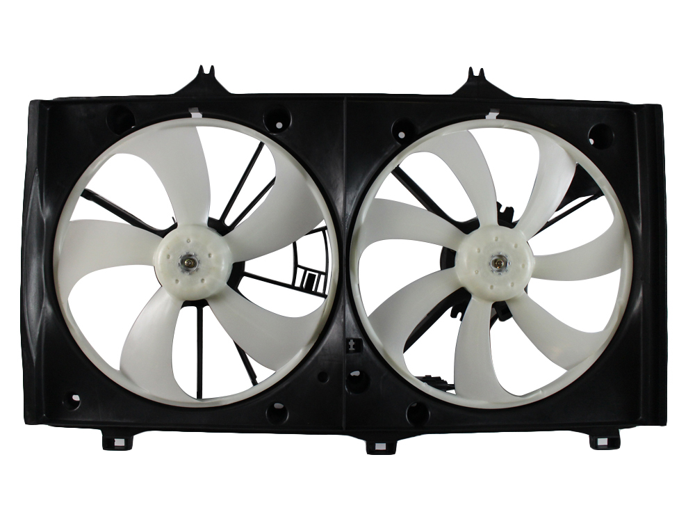 fan